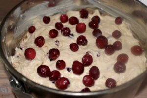 Cranberry Streusel Coffee Cake