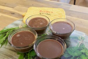 Chocolate Gelatine Pudding