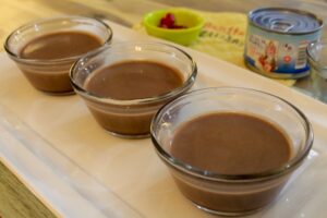 Chocolate Gelatine Pudding