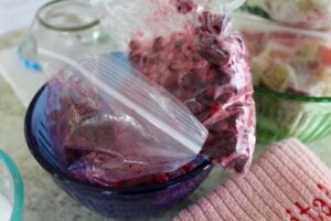 Rhubarb and Partridgeberry Jam