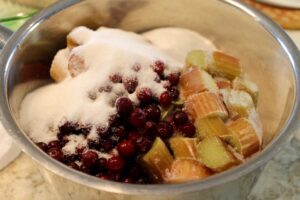 Rhubarb and Partridgeberry Jam