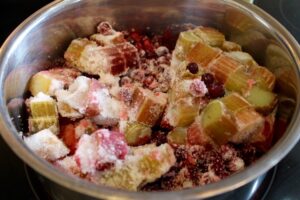 Rhubarb and Partridgeberry Jam