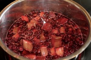 Rhubarb and Partridgeberry Jam