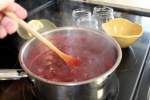 Rhubarb and Partridgeberry Jam