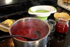 Rhubarb and Partridgeberry Jam