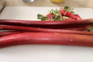 Rhubarb Slush