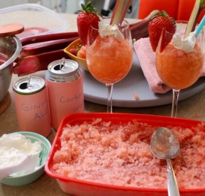 Rhubarb Slush
