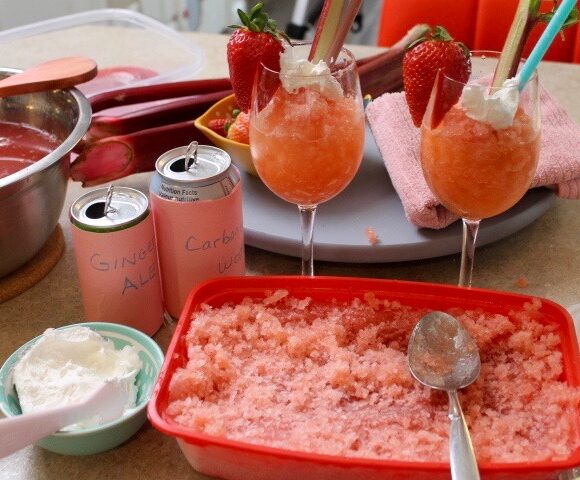 Rhubarb Slush