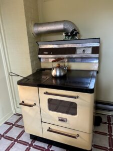 Apple Crisps - Air Fried