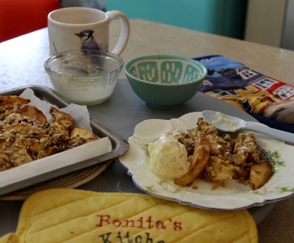 Apple Crisps - Air Fried