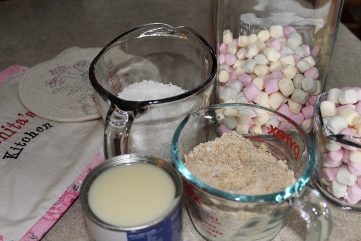 Coconut Marshmallow Balls