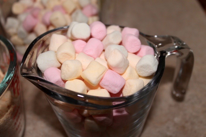 Coconut Marshmallow Balls