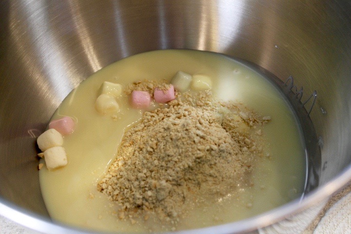 Coconut Marshmallow Balls