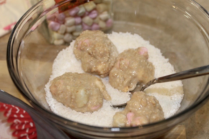 Coconut Marshmallow Balls
