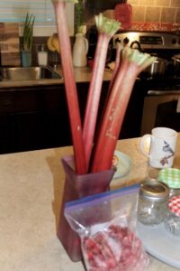 Rhubarb and Cherry Jam