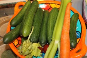Cucumber salad