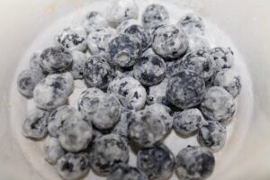 Blueberry Bread