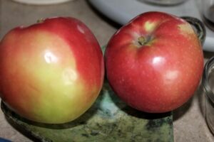 Apple Bread Pudding